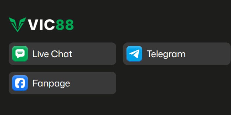 VIC88 - Sân Chơi Cá Cược Đa Dạng, Nạp Rút Nhanh Chóng 2 VIC88 có hệ thống hỗ trợ chuyên nghiệp và liên tục